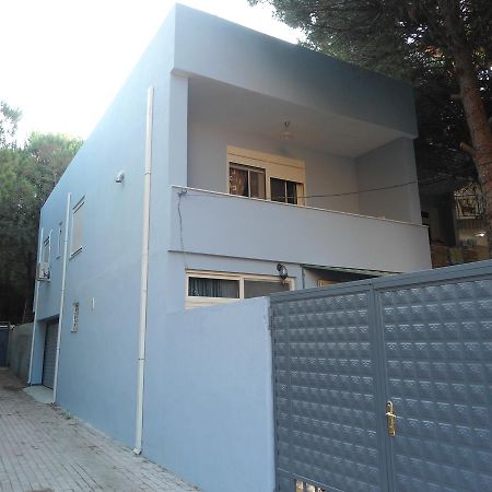Vacation Home Dibra Velipoja Kültér fotó